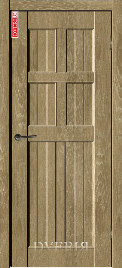 Межкомнатная дверь Лофт 10 ПГ